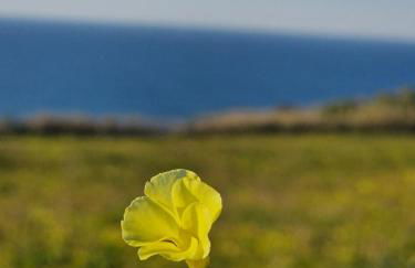 Bouro's Cliff - Foto 3