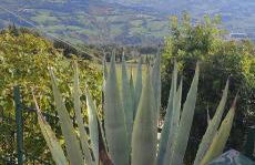 Casa Nonna Maria - Foto 37