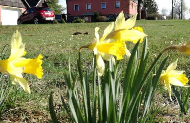 Ferienwohnung Zum Ausblick - Foto 35