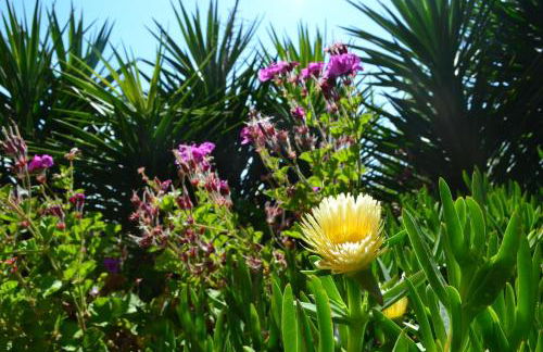 Casa Alexandra - Foto 24