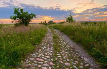 Uroczysko Skomackie - Foto 47