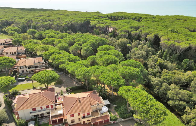 Pineforest - Foto 22