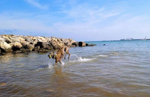 Precioso apartamento en Canet d,en Berenger - Photo 15