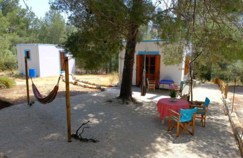 little house in forest - Foto 5