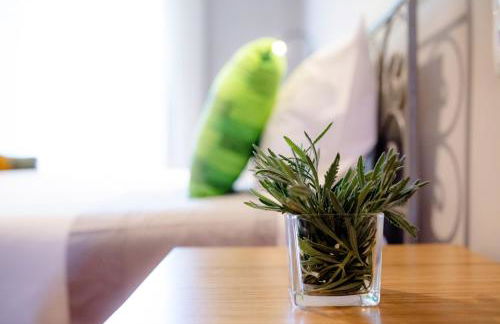 Quinta De Vila Nova - Agroturismo - Foto 19