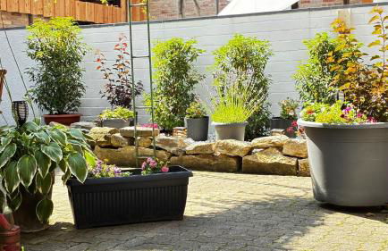 Ferienhaus Am Trollmönch - Photo 13