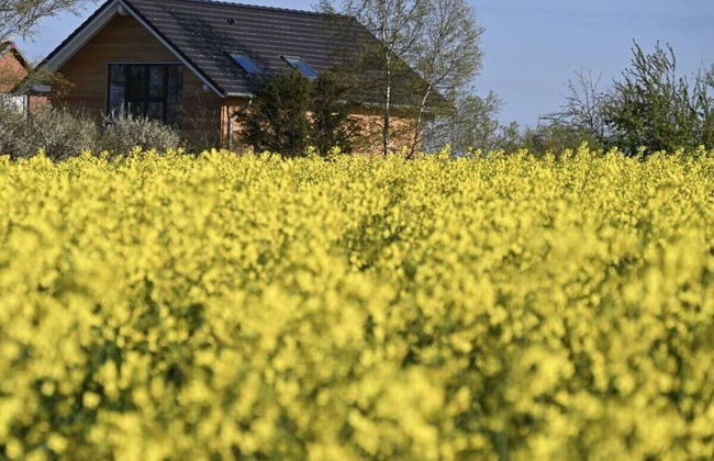 Ostseeliebe Flensfjord - Foto 33