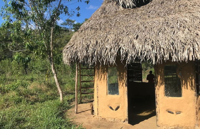 Ayahuaska - Photo 48