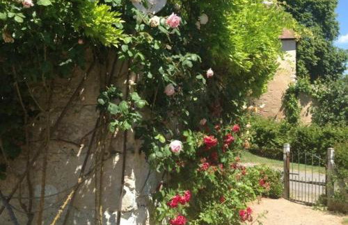 Authentique Grange du XVème siècle avec jardin et animaux admis - FR-1-489-275 - Foto 27