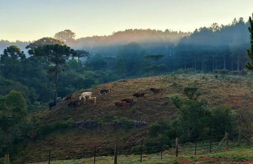 Sítio Passo do Carro - Foto 42