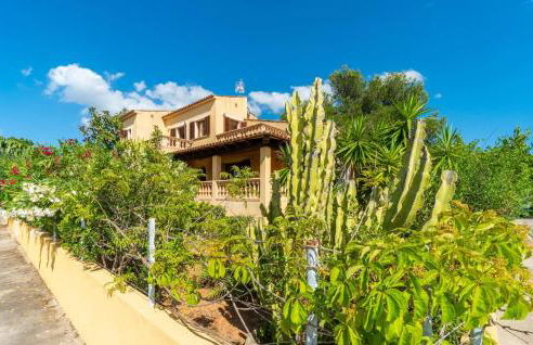 S'estanyol - Foto 11