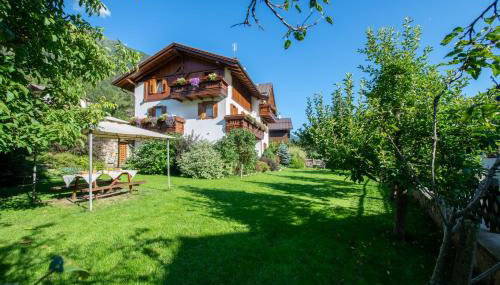 Appartamenti Casavacanzepejo - Foto 4, Garden