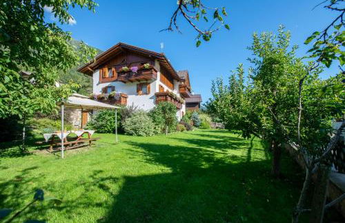 Appartamenti Casavacanzepejo - Foto 4