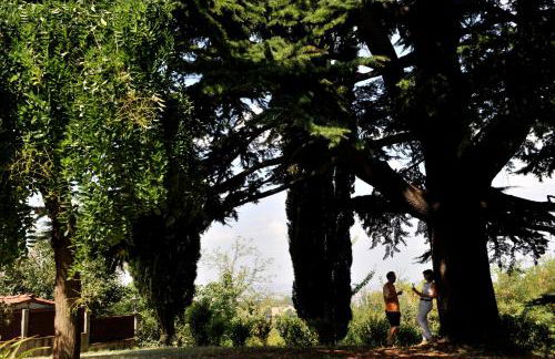 TENUTA MONTEGRANDE 1893 - Foto 61