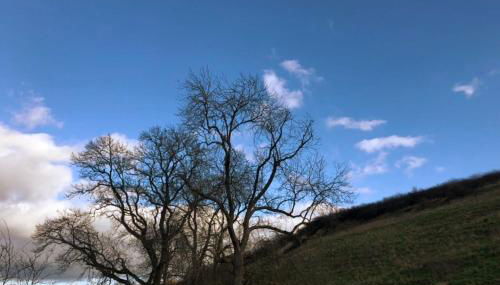 Adorable one bed cottage in rural idyll - Foto 5