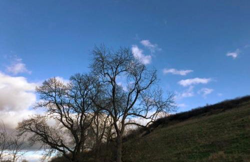 Adorable one bed cottage in rural idyll - Foto 5