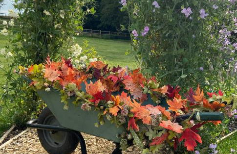 Hollybush Lodges - Foto 17