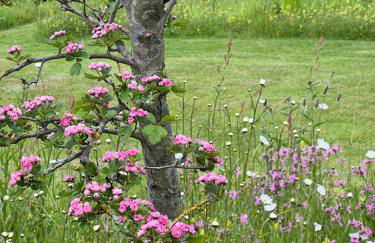 The Old Stable at Manor House, Middleton - Foto 24