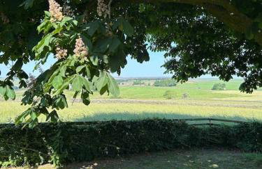 Cosy Cottage near Brimham Rocks Yorkshire Dales - Photo 22