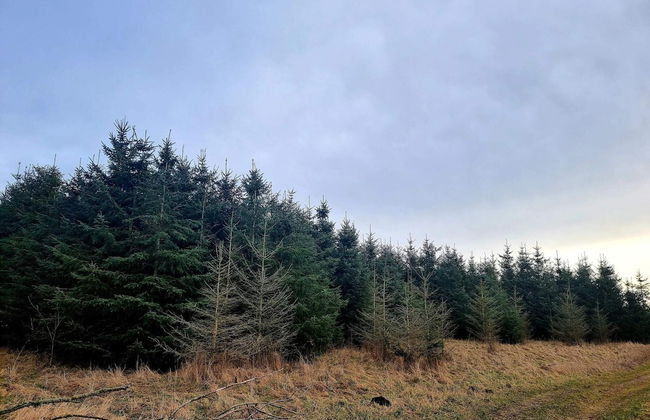 Luxury Spa Retreat in Thorsager - By Traum Ferienwohnungen - Photo 13