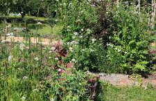 Ruralna kuća za odmor Pozojova hiža - Rural Holiday House - Foto 41