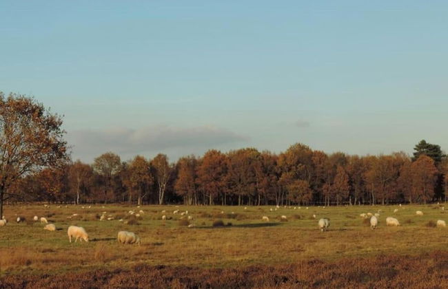 Holiday Park Escape in Drenthe - Photo 17
