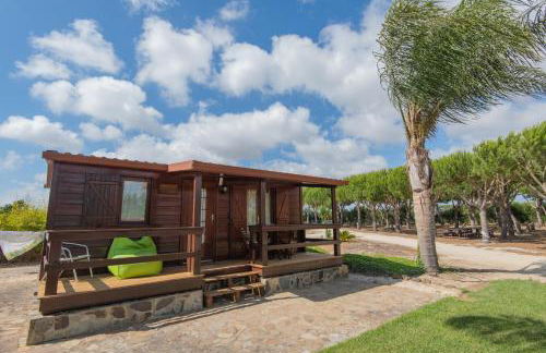 Herdade do Sardanito da Frente - Foto 44