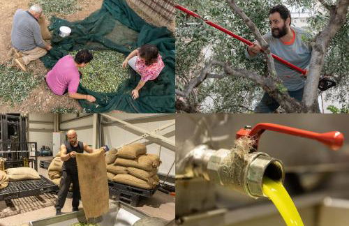 father's house in kissamos - Foto 29