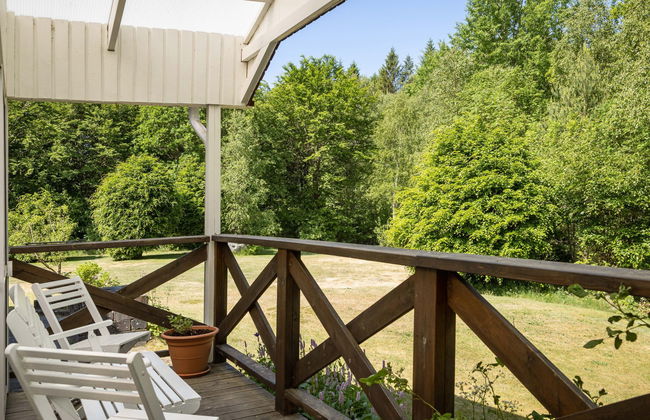 Vänneböke - Foto 16