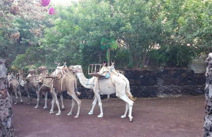 Playa Paraiso-Apartment 4 you - Foto 55