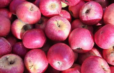 Agriturismo Torre Gialluise - Photo 34