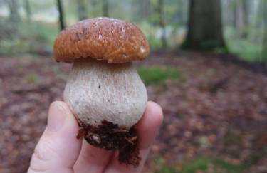 Zimski san - Foto 62