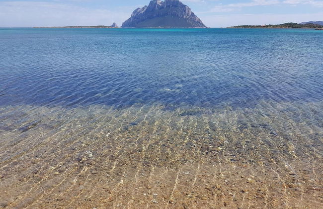 Terry's House - Photo 38