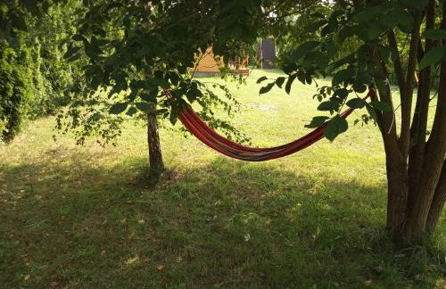 Malowniczy domek w Białowieży - Foto 7