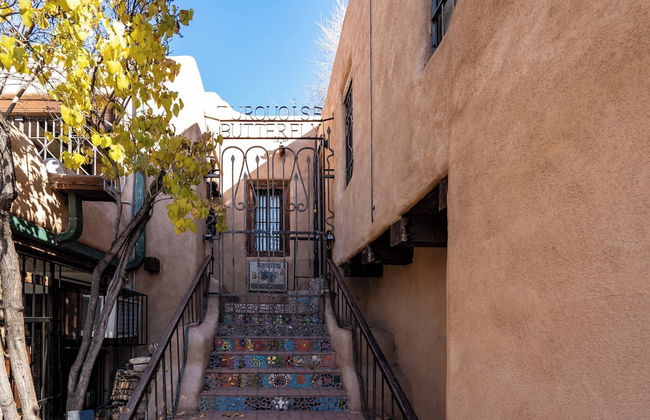 Turquoise Butterfly - Foto 2