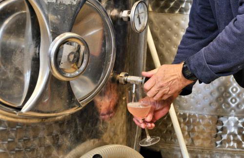 Domaine - Vignoble - Jacuzzi - Sauna - 14 à 18 pers - Foto 56