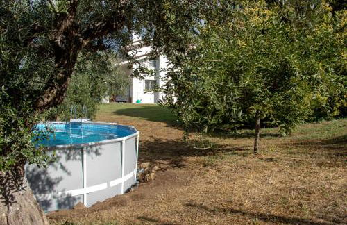 Villa Stauder - Foto 17