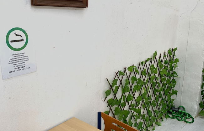 Casa Sergio de Novelda - Foto 10