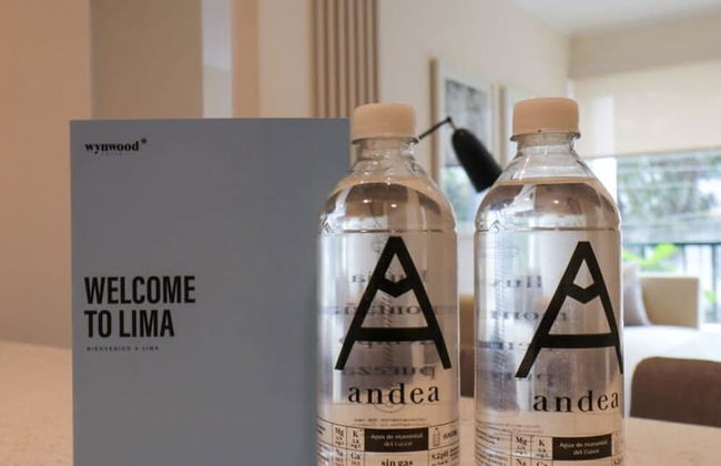 w Fantastic 2BR in the Heart of Barranco - Photo 9