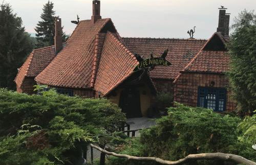 Ferienwohnungen Am Elfenstein - Foto 39