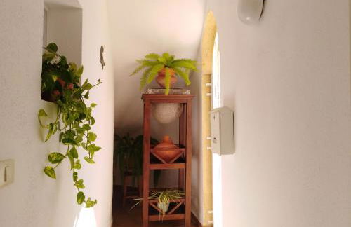 Apto. PIÑA DE MAR - Foto 29