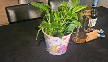 Maison Soleil - Elne - Foto 2