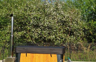 Przyjazna zagroda leśne runo - Foto 20