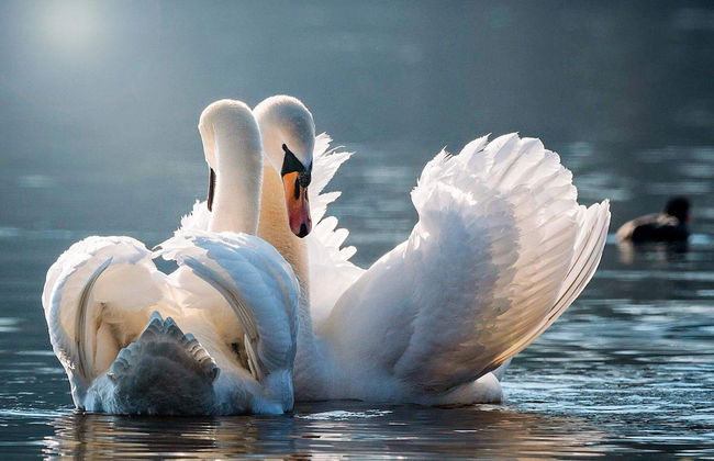 2 Person Holiday Home in Storahoga - Foto 20