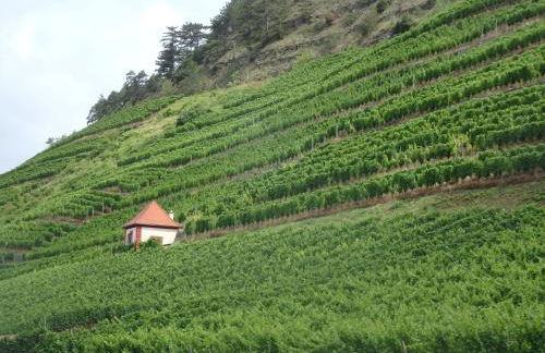 Fewoimdorf - Foto 16