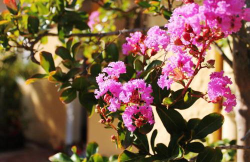 Le Mas de la Palmeraie - Appartement dans propriété privée au calme avec piscine et tennis - Foto 16