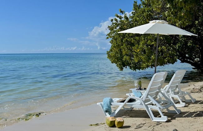 Champagne Villa - Photo 23