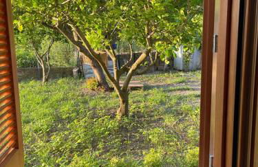 Casa da Nonna Rita - Photo 11