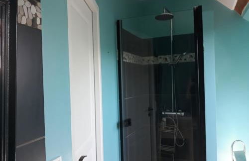 Gite La Vigneronne en Touraine - Foto 10