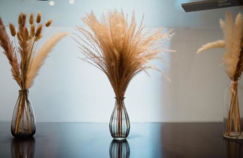 L'ulivo e il colibrì - Foto 36